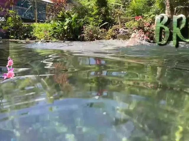 Freechat Anuskatz on BongaCams