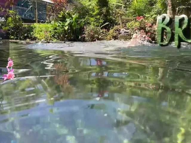 BongaCams Anuskatz is Freechat Anuskatz — openness, humor, laughter, jokes, politeness, cute nicknames