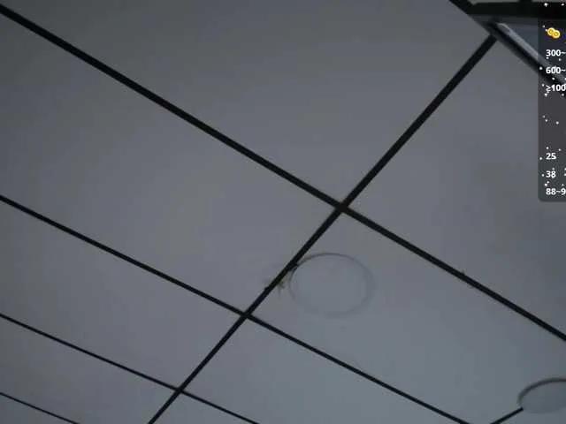 Offline Gisell-Montoy on BongaCams