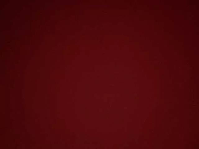 Offline Ledi1 on BongaCams