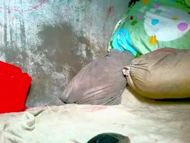 BongaCams NaughtyWetPieXx is Freechat NaughtyWetPieXx — Freechat on BongaCams