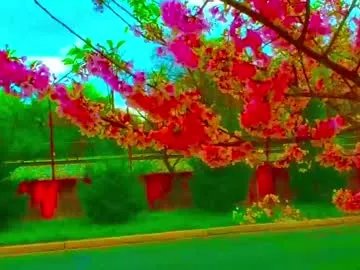 Freechat samedayshipping on Chaturbate