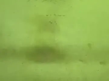 Freechat tamanna02 on Chaturbate