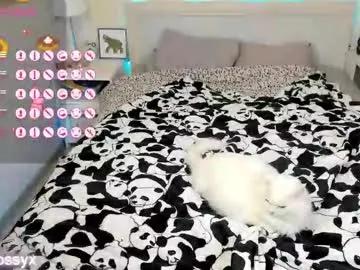 Freechat xwildrossyx on Chaturbate